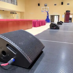 Speaker monitor